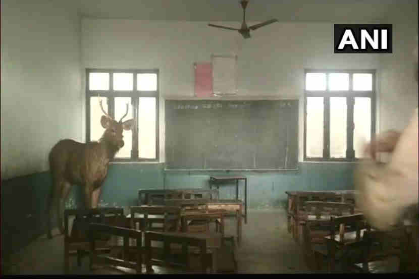 फोटो सौजन्य-एएनआय