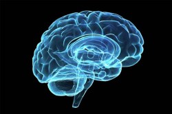 भावविश्व-सुधारणा भावविश्वातूनच!