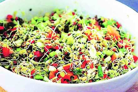 तंतुमय पदार्थ सर्वंकष आरोग्यासाठी उपयुक्त