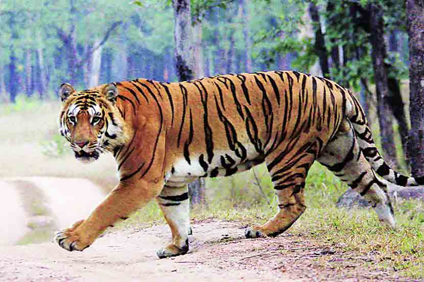 ( संग्रहीत प्रतिकात्मक छायाचित्र )