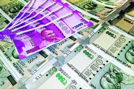 election process, election reforms process,