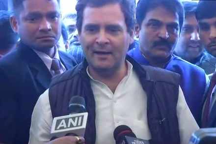 राहुल गांधी ( संग्रहीत )