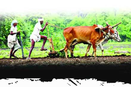 ( संग्रहीत प्रतिकात्मक छायाचित्र )