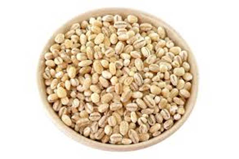 Barley