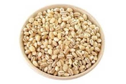 Barley