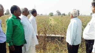 Bembla irrigation project in Vidarbha