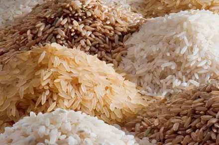 ( संग्रहीत प्रतिकात्मक छायाचित्र ) ( संग्रहीत प्रतिकात्मक छायाचित्र )