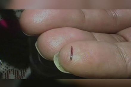 worlds smallest pencil