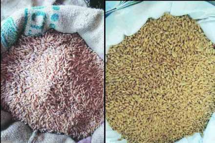 




( संग्रहीत प्रतिकात्मक छायाचित्र )
