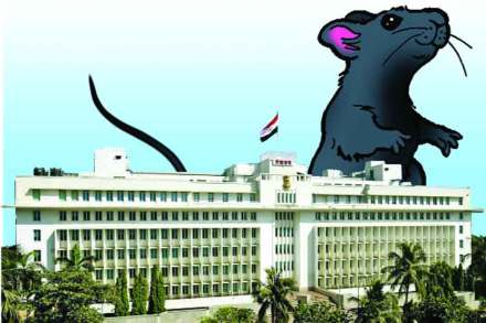 ( संग्रहीत प्रतिकात्मक छायाचित्र ) ( संग्रहीत प्रतिकात्मक छायाचित्र )