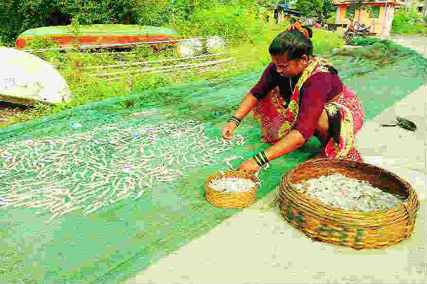 संकटांना बाजूला सारून कोळी महिलांचा जगण्यासाठीचा लढा