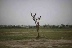 भूसंपदा, युद्धसंस्था व बलश्रेणी