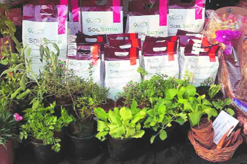 नवोन्मेष : ‘सॉइल सत्त्व’