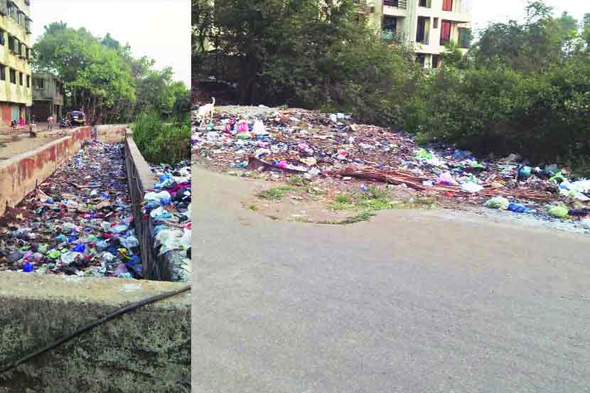 प्लॅस्टिक पिशव्याचे ढीग तसेच थर्माकॉलचा कचरा पसरल्याचे दिसून येते. 