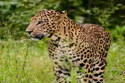 संग्रहित प्रातिनिधीक छायाचित्र