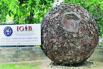 जिनॉमिक्सच्या जगात