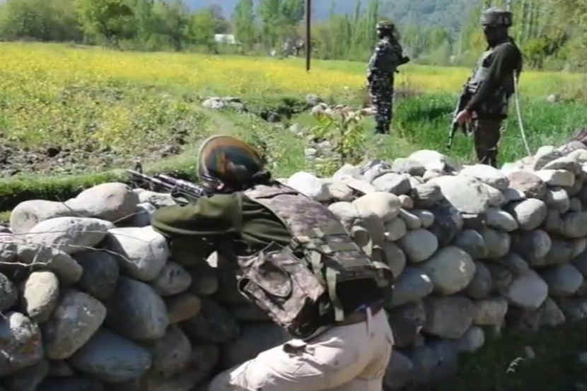 army, tral