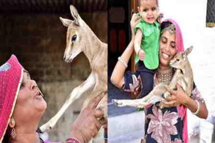 सलमानला गजाआड पाठणाऱ्या बिष्णोई समाजाबद्दल तुम्हाला माहित आहे का?