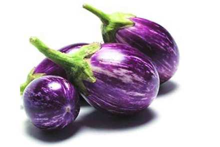 जनुकीय बदल ( बी.टी. ) वांगे खाण्यास सुरक्षित असल्याचा निष्कर्ष हैद्राबाद येथील राष्ट्रीय पोषण संस्थेच्या (नॅशनल इन्स्टिट्यूट ऑफ न्यूट्रिशियन ) चाचण्यांमध्ये निघाला आहे.