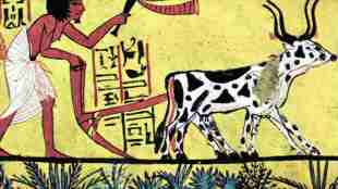 Ancient India