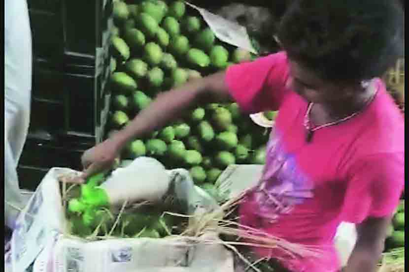 वाशी बाजारात हापूसला रसायनरंग