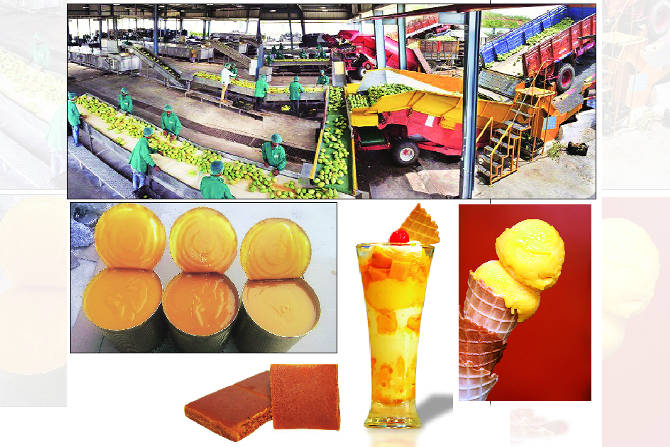 आंबा प्रक्रिया उद्योग हा हंगामी उद्योग आहे. आंब्याचा मोसम सुरू झाल्यानंतर साधारण एक- दोन महिन्याने म्हणजे मेच्या सुरुवातीला प्रक्रिया व्यवसाय सुरू होतो.