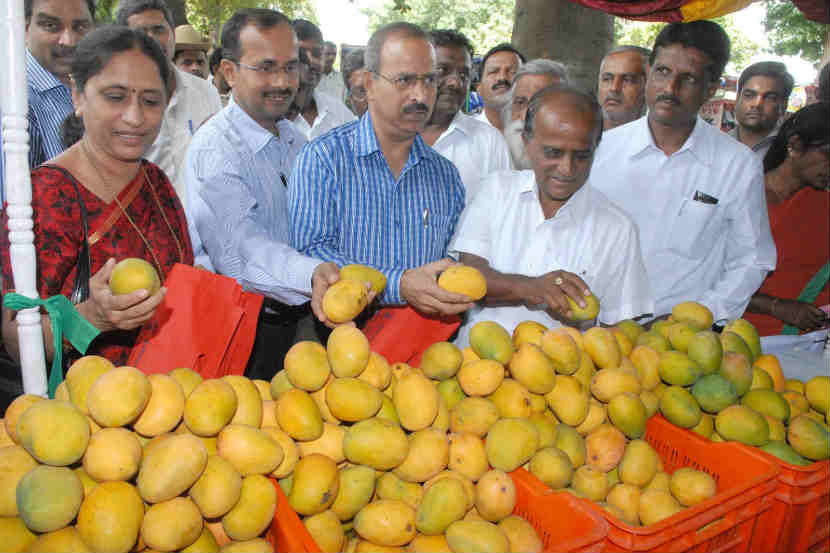 प्रातिनिधिक छायाचित्र