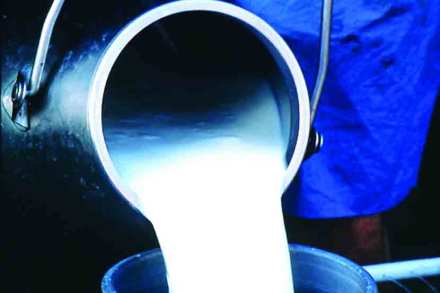 प्रतिनिधिक छायाचित्र