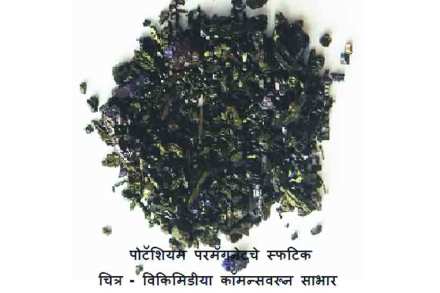 कुतूहल : जंतुनाशक पोटॅशियम परमँगनेट