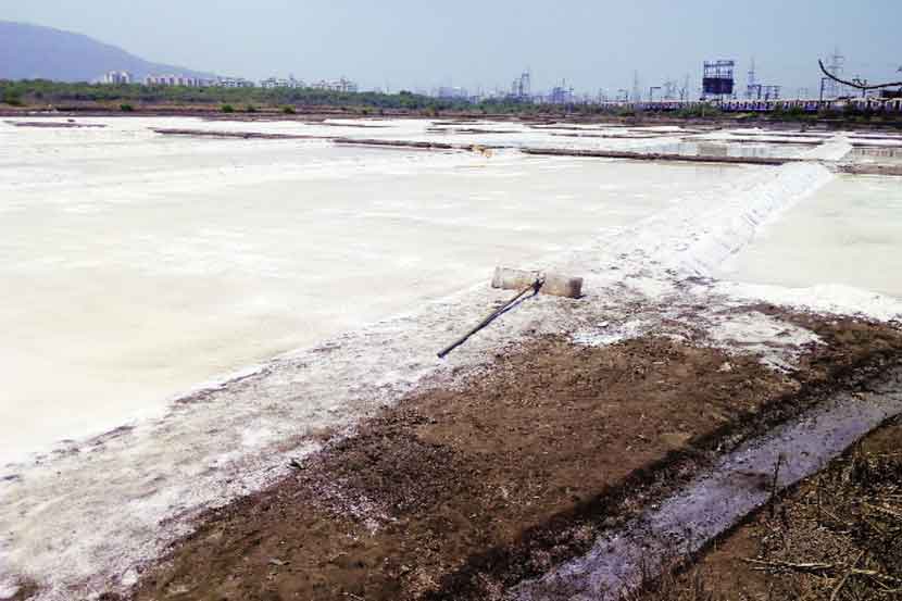 Salt pans of Mumbai Salt pans of Mumbai