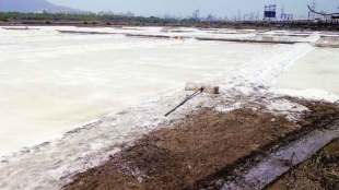 Salt pans of Mumbai