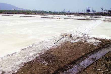 Salt pans of Mumbai