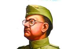 फसवे पुस्तक, फसवा लेख