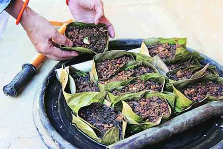 बीजसंकलनातून अन्न शाश्वतता