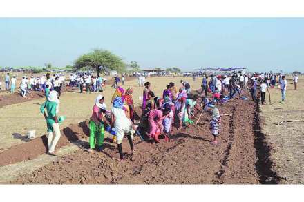 सिन्नरच्या पाटपिंपरी येथे श्रमदानात सहभागी झालेले नागरिक.