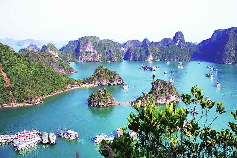 ‘जग’ते रहो : मनमिळाऊ व्हिएतनामी ‘जग’ते रहो : मनमिळाऊ व्हिएतनामी