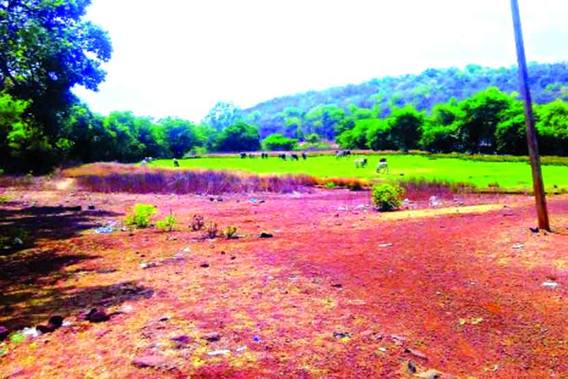 संग्रहित प्रतिनिधिक छायाचित्र