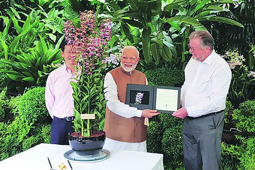 सिंगापूरच्या बगिचातील ऑर्किडला मोदींचे नाव