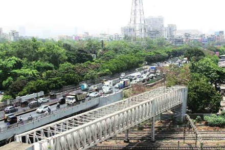 पुलासाठी २०० झाडांचा बळी? पुलासाठी २०० झाडांचा बळी?