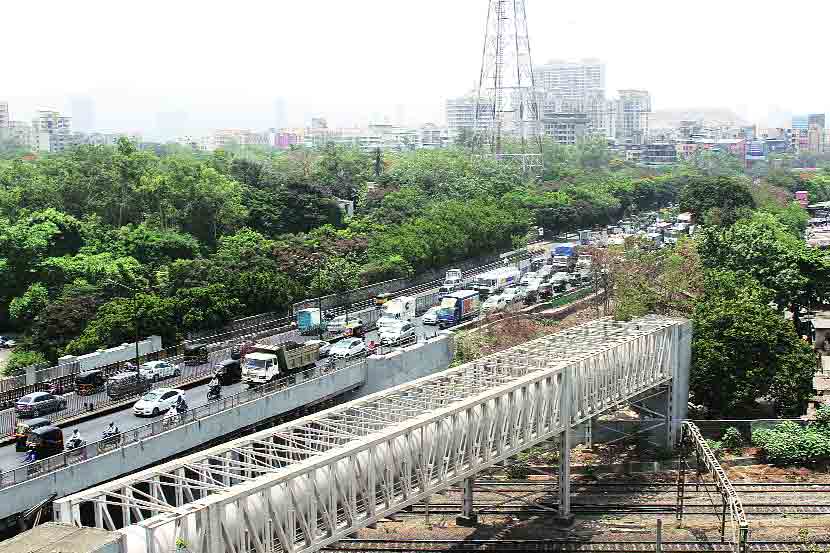 पुलासाठी २०० झाडांचा बळी?