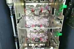 उंदराचं एटीएम मशिनवर ‘सर्जिकल स्ट्राईक’; १२ लाखांच्या नोटा कुरतडल्या