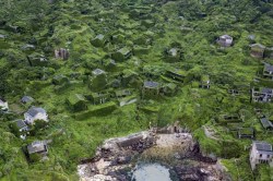 गावकऱ्यांनी घरांकडे पाठ फिरवली, अन् निसर्गानं मात्र ‘घरपण’ दिलं