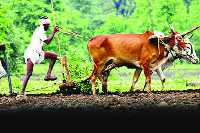 एमपीएससी मंत्र : कृषी घटक (एकत्रित प्रश्न विश्लेषण)
