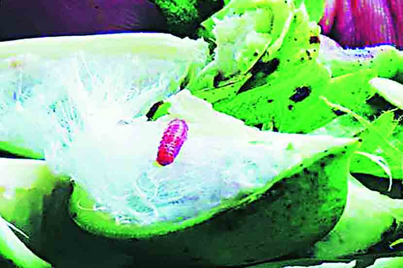 केंद्रीय पथकाच्या सल्ल्याने शेतकरी अवाक्!