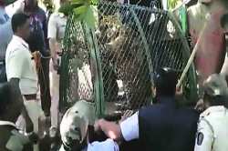 फेकन्युज : बिबटय़ावरील कारवाई रत्नागिरीतील