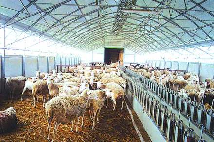 (संग्रहित छायाचित्र) (संग्रहित छायाचित्र)