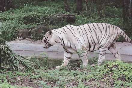 (संग्रहित छायाचित्र)