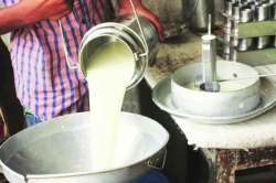 दूध, भुकटीची निर्यात हे दिवास्वप्नच