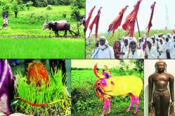 उत्सव विशेष : पाऊस, धर्म आणि चातुर्मास!