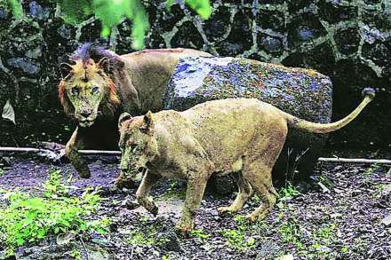 (संग्रहित छायाचित्र)